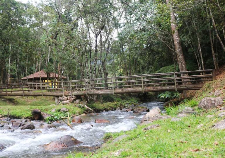 cachoeira-Rio-Grande---Santo-Antorio-3