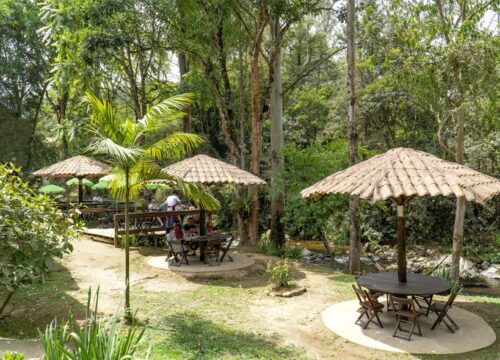 Jardim do Visconde - Restaurante